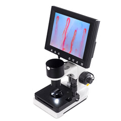 Nailfold Capillaroscopy Microcirculation microscopy